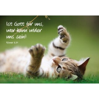 Mini-Spruchkarten - spielendes Kätzchen (12 Stück)