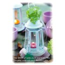 Mini-Spruchkarten - Hortensie/weiße Laterne (12...